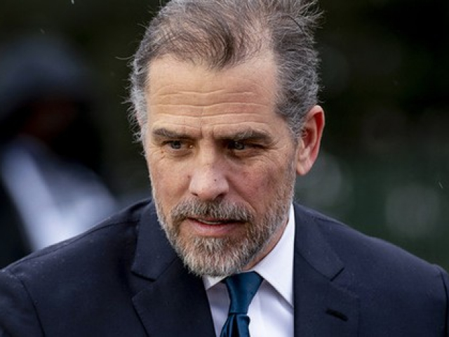 Thế giới - Con trai Tổng thống Biden nhận tội liên quan đến thuế và súng đạn