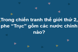 Loay hoay nửa ngày mới trả lời đúng hết trọn bộ câu hỏi này