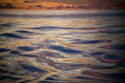 Media - Khám phá đại dương "già" nhất Trái Đất