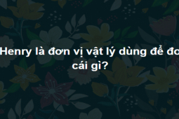 Giáo dục - du học - 15 câu đố càng làm càng “hăng”