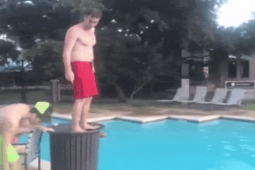 Tranh vui - Tài năng có hạn nhưng thích thể hiện để rồi nhận cái kết tê tái