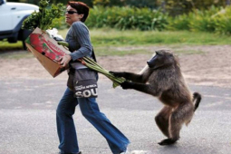 Tranh vui - Không nhịn nổi cười với những hình ảnh hài hước khó đỡ này