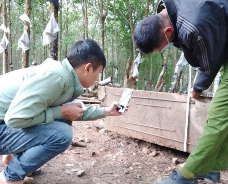 Số gỗ do ông Lê Quang Nam tìm thấy trong quá trình cải tạo ruộng đã được xác lập sở hữu toàn dân