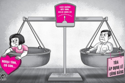 Tin tức trong ngày - Áp dụng lẽ công bằng trong vụ chồng kiện vợ vì phải 'nuôi con tu hú'