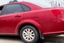 Tin tức ô tô - Clip: Nữ tài xế lùi xe tránh đường khiến cánh mày râu kiêng nể