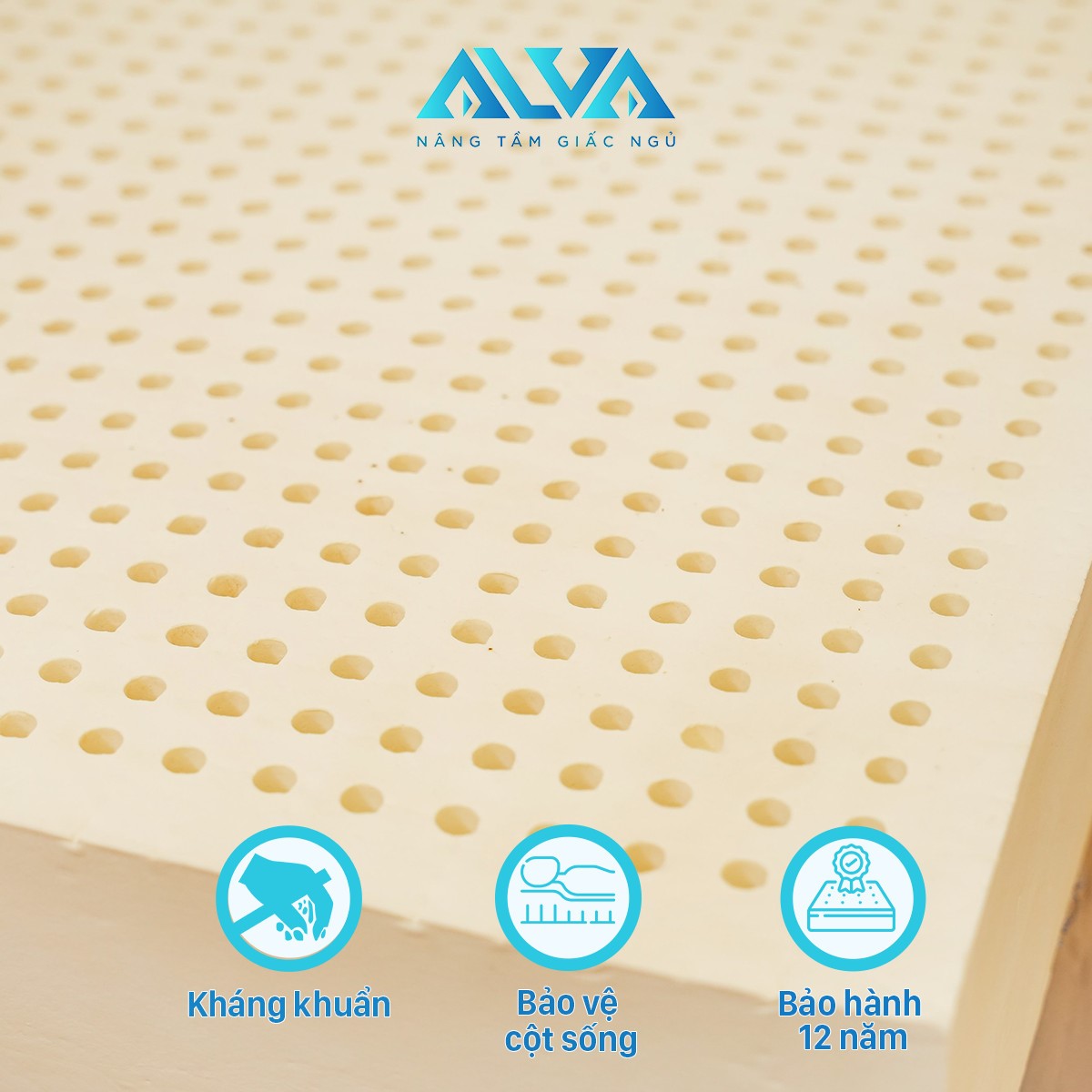 Hình ảnh Nệm Alva Standard với hàng triệu lỗ tròn thoáng khí bề mặt.