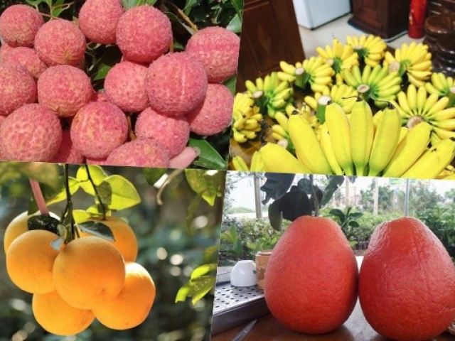 Thị trường - Tiêu dùng - 4 loại quả tiến vua nức tiếng Việt Nam đắt cỡ nào?