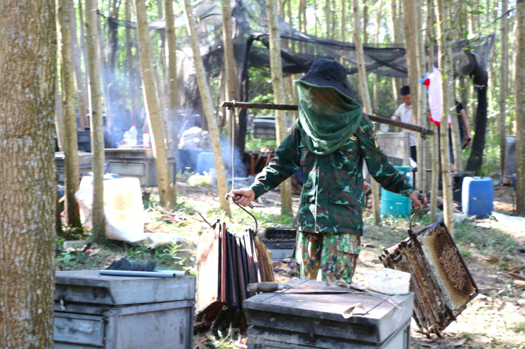 Ngoài dùng khói để xua đuổi ong, những người thợ phải trang bị mũ, lưới che mặt, găng tay và ủng cao su.