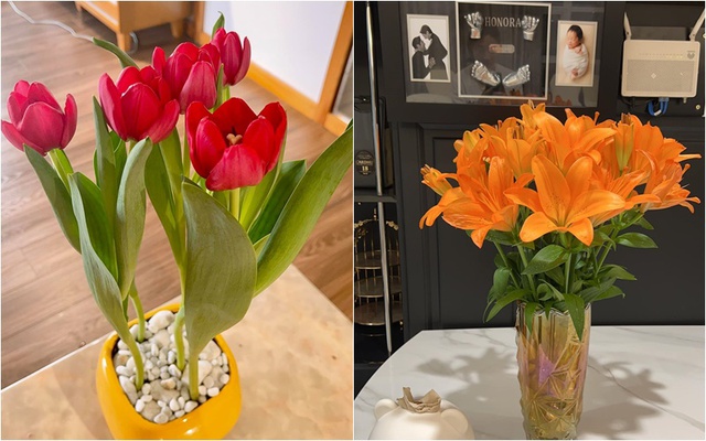 Căn nhà 6 tỷ của Pha Lê, nữ ca sỹ có ái nữ lai Hàn sang và đẹp đến mức nào? - 10