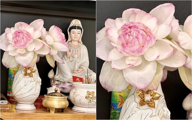 Căn nhà 6 tỷ của Pha Lê, nữ ca sỹ có ái nữ lai Hàn sang và đẹp đến mức nào? - 7