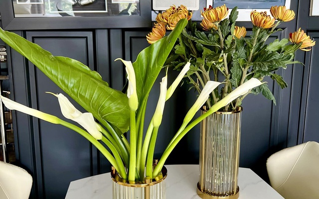 Căn nhà 6 tỷ của Pha Lê, nữ ca sỹ có ái nữ lai Hàn sang và đẹp đến mức nào? - 9