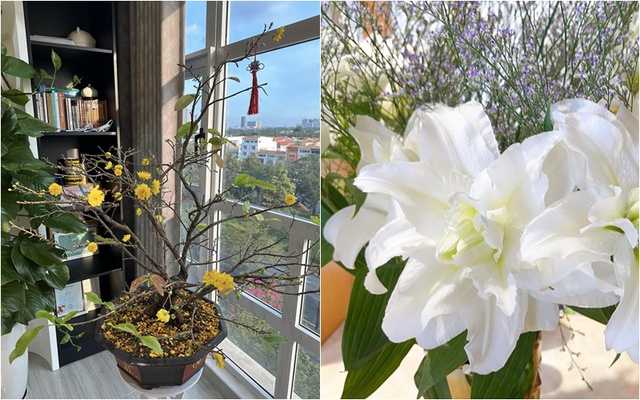 Căn nhà 6 tỷ của Pha Lê, nữ ca sỹ có ái nữ lai Hàn sang và đẹp đến mức nào? - 2