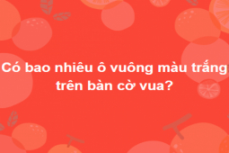 Giáo dục - du học - 15 câu đố thách thức cả người có IQ cao nhất