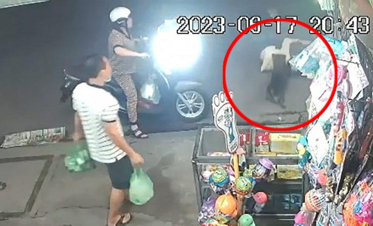 Con chó hoảng sợ chạy ra cắn nhầm trúng chị T. Ảnh cắt từ clip