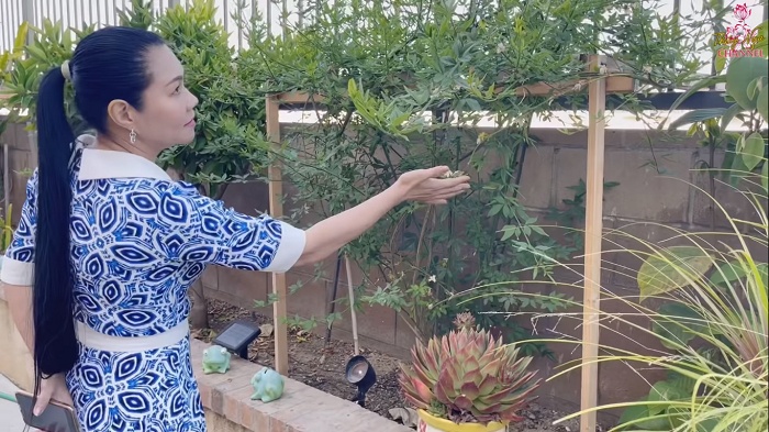 Cuộc sống viên mãn của NSƯT Ngọc Huyền ở tuổi 52 trong biệt thự triệu đô ở Mỹ - 15