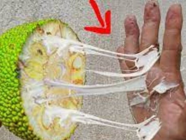 Ẩm thực - Mẹo "siêu chuẩn" làm sạch nhựa mít dính vào dao, quần áo và tay cực nhanh