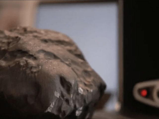 Phi thường - kỳ quặc - Viên đá lớn rơi xuống vườn nhà, tưởng đồ bỏ đi nhưng lại là “báu vật” hơn 5 tỷ đồng