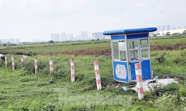 Dự án vẫn là khu đất trống bỏ hoang, cỏ dại mọc um tùm.