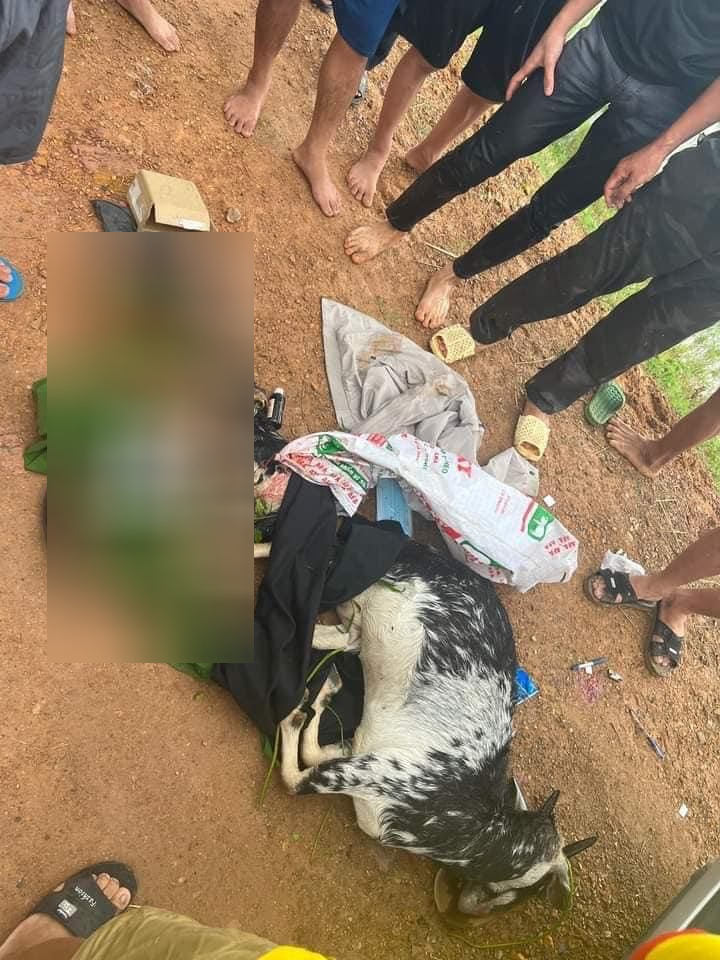 Con dê được lấy từ trong ô tô ra