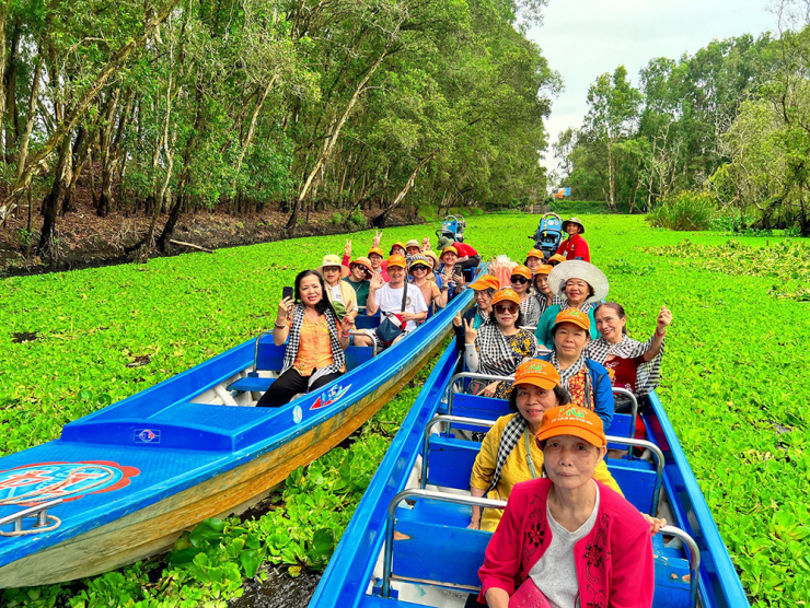 Trong rừng, bèo nhiều đến nỗi không thấy mặt nước đâu, khiến du khách cảm giác như đang lướt trên thảm bèo.