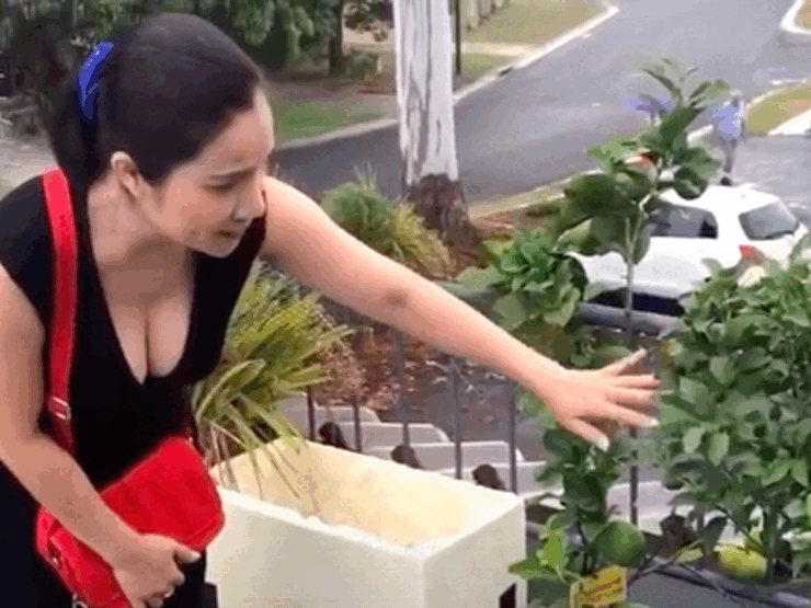 "Bà mối quốc dân" Cát Tường khoe cơ ngơi gia đình nhìn phát mê ở Úc