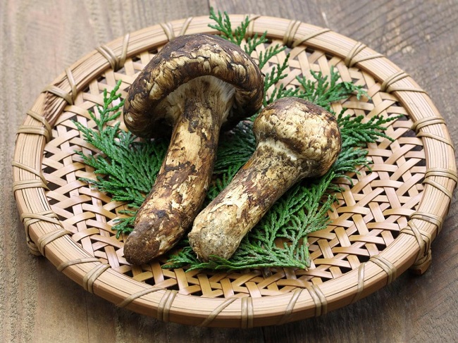 Matsutake có tên khoa học là Tricholoma Matsutake, ở Việt Nam được biết tới với cái tên nấm Tùng Nhung.
