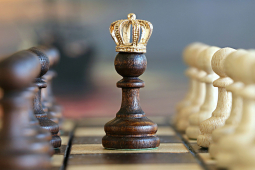 Giáo dục - du học - 15 câu hỏi “đúng – sai” kiểm tra kiến thức của bạn tới đâu