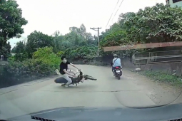 Tin tức trong ngày - Clip: Ôm cua như tay đua, tài xế lái xe Dream rước họa vào thân