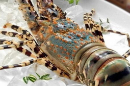 Thị trường - Tiêu dùng - Loài ở Việt Nam gần 4 triệu đồng/kg, xứng danh đặc sản ngon nhất