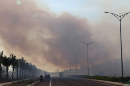 Tin tức trong ngày - Rừng ven biển Quảng Nam cháy ngùn ngụt