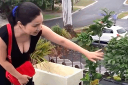 Đời sống Showbiz - "Bà mối quốc dân" Cát Tường khoe cơ ngơi gia đình nhìn phát mê ở Úc