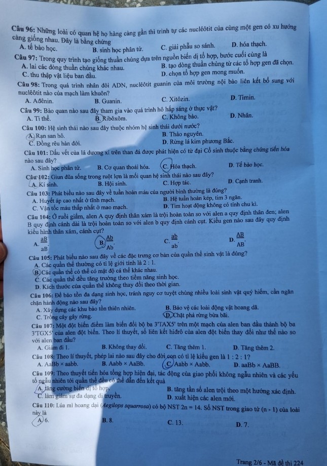 CẬP NHẬT: Đề thi, đáp án bài HÓA, LÍ, SINH tốt nghiệp - 10