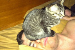 Tranh vui - Những con vật “báo nhà” ngây thơ vô số tội (Phần cuối)