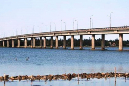 Tin tức trong ngày - TT-Huế đầu tư hơn 1.000 tỷ đồng xây cầu vượt đầm phá Tam Giang