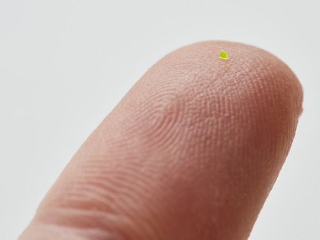 Phi thường - kỳ quặc - Choáng với túi xách nhỏ hơn... hạt muối giá gần 1,5 tỉ đồng