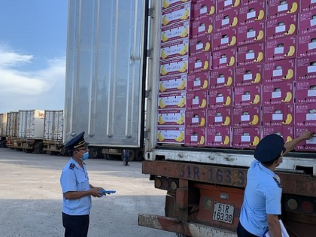 Thị trường - Tiêu dùng - Điều tra doanh nghiệp 'đội lốt' nhập khẩu nông sản để rửa tiền