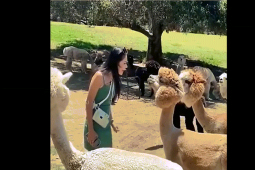 Clip hài hước - Clip: Ra đường quên xem ngày dễ "ối giời ơi" lắm đấy