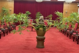 Thị trường - Tiêu dùng - Chậu tre bonsai “độc nhất vô nhị”, vì sao trả bao nhiêu tiền chủ nhân cũng không bán?