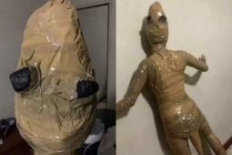 Bạn trẻ - Cuộc sống - Cô gái hóa thành con thạch sùng để thử người yêu và cái kết