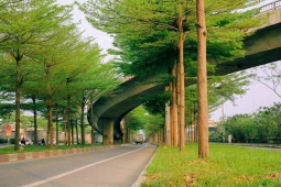 Bạn trẻ - Cuộc sống - Vẻ đẹp nên thơ tại con đường mệnh danh "châu Âu giữa lòng Hà Nội"