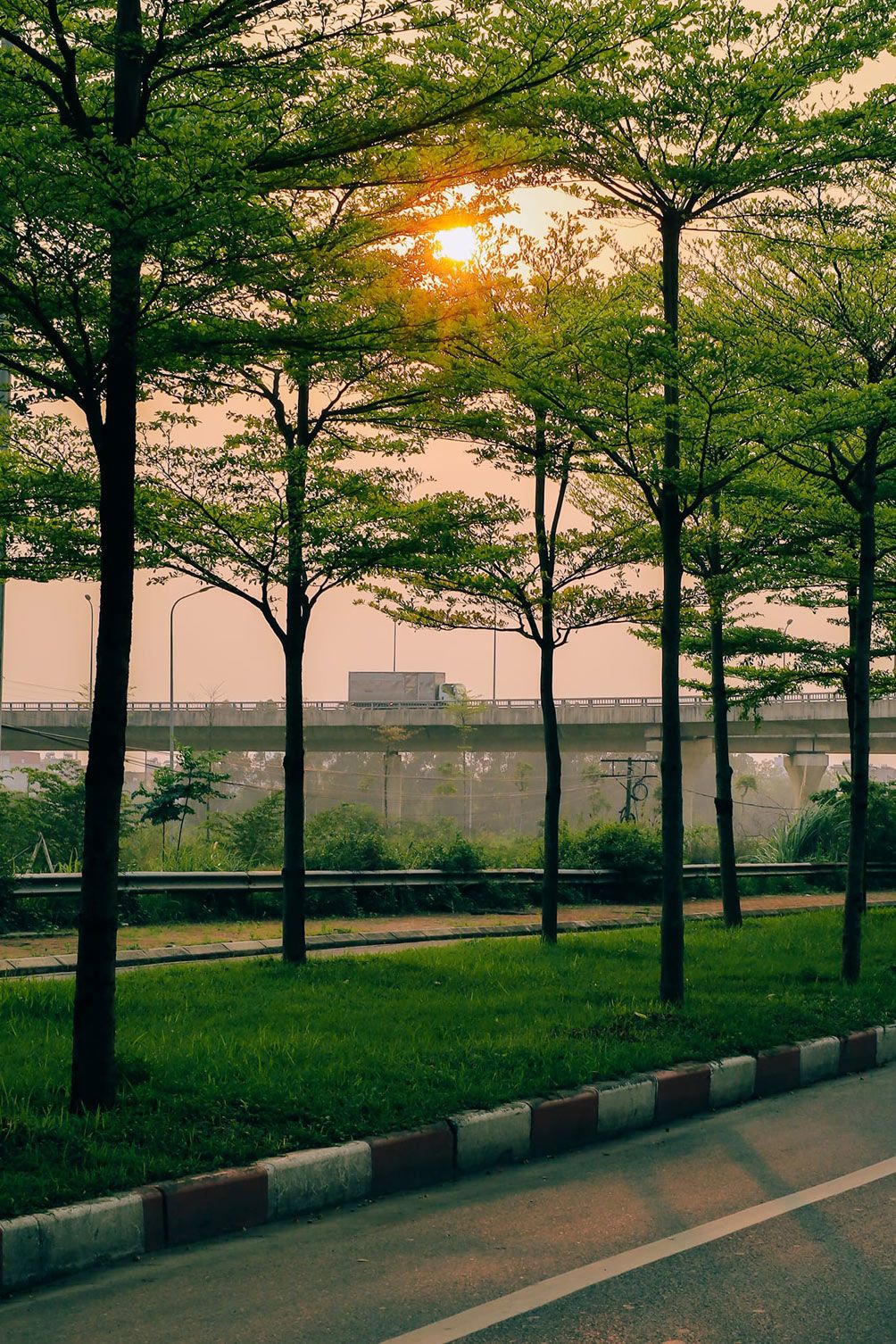 Vẻ đẹp nên thơ tại con đường mệnh danh "châu Âu giữa lòng Hà Nội" - 11