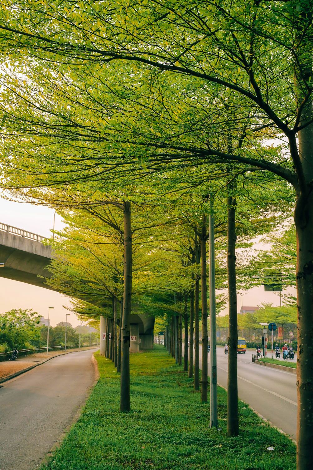 Vẻ đẹp nên thơ tại con đường mệnh danh "châu Âu giữa lòng Hà Nội" - 2