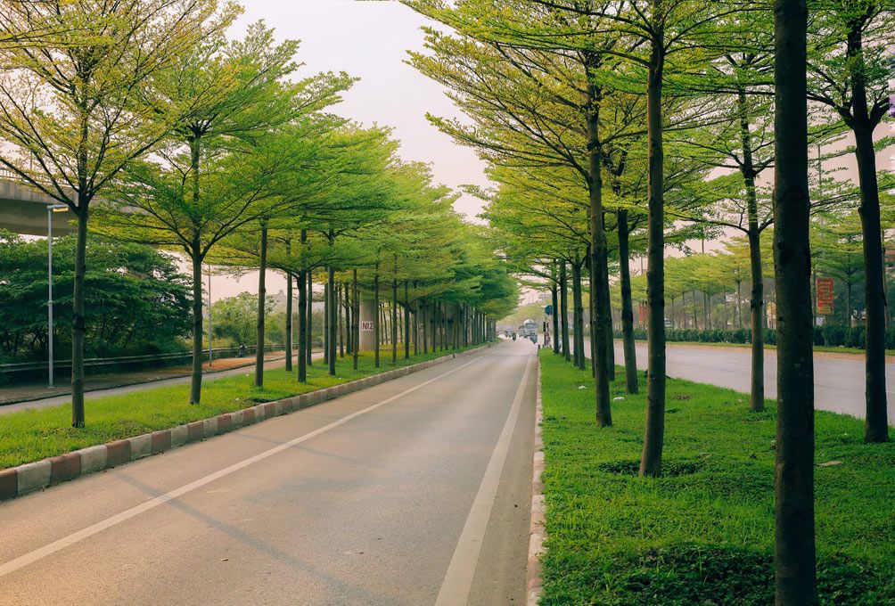 Vẻ đẹp nên thơ tại con đường mệnh danh "châu Âu giữa lòng Hà Nội" - 5