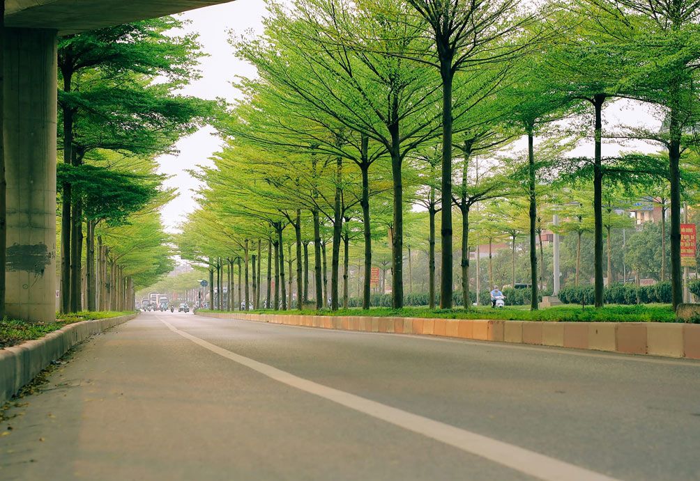 Vẻ đẹp nên thơ tại con đường mệnh danh "châu Âu giữa lòng Hà Nội" - 7