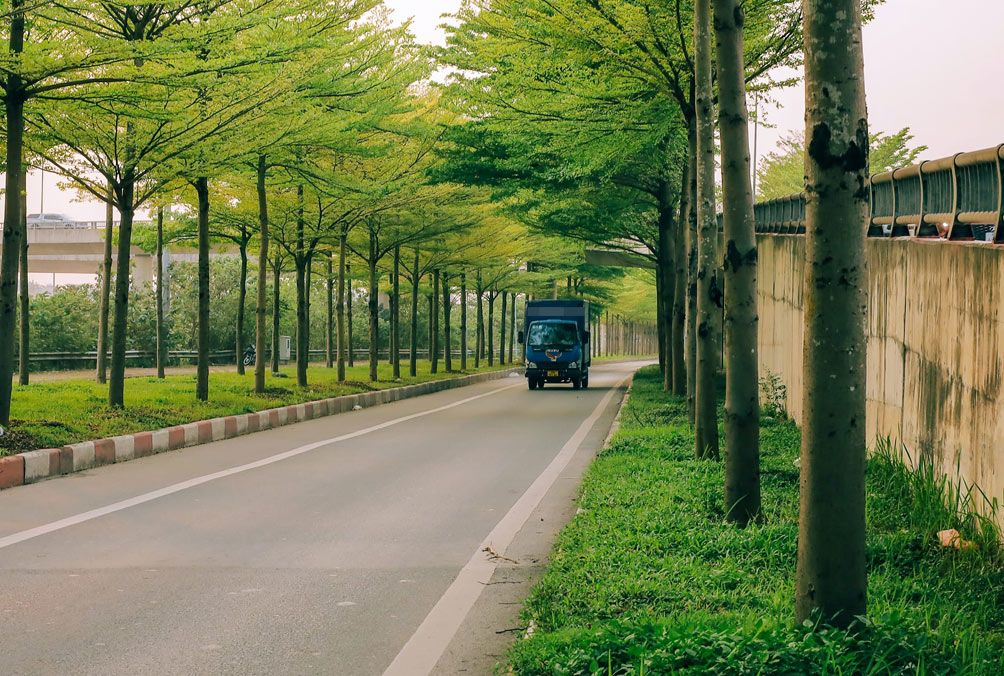 Vẻ đẹp nên thơ tại con đường mệnh danh "châu Âu giữa lòng Hà Nội" - 8