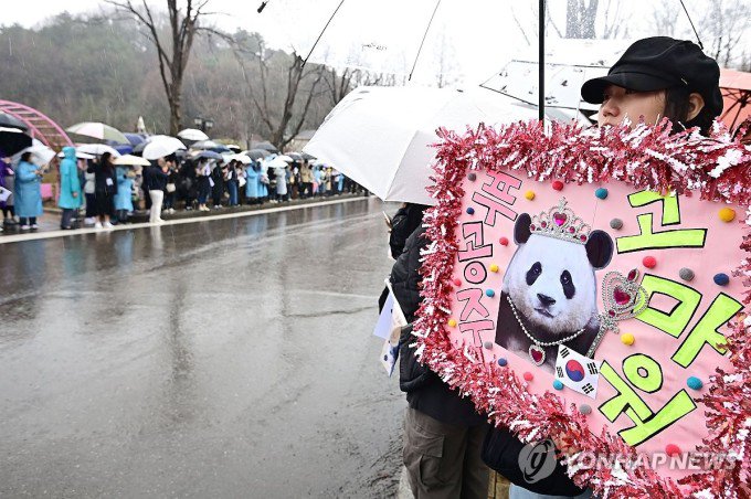 Người Hàn tụ tập trước vườn thú ở công viên Everland chia tay gấu trúc Fu Bao, ngày 3/4. Ảnh: Yonhap