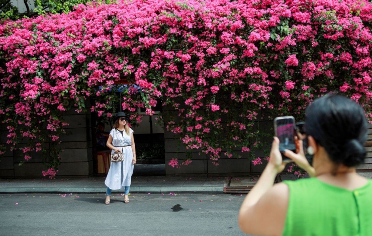 Vào ngày cuối tuần, nơi đây thu hút nhiều người dân đến chụp ảnh check-in.