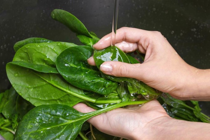 Rửa rau từng lá dưới vòi nước máy chảy là cách hiệu quả nhất để làm sạch bụi bẩn và thuốc trừ sâu. Ảnh: Chinatimes