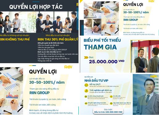 Những thông tin mời chào đầu tư vàng của Riin Group gửi đến các nhà đầu tư