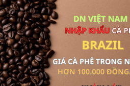 Thị trường - Tiêu dùng - Giá cà phê Việt hơn 100.000 đồng/kg, doanh nghiệp phải tìm mua cà phê Brazil